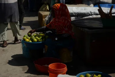 DSC_7623 (Large).JPG